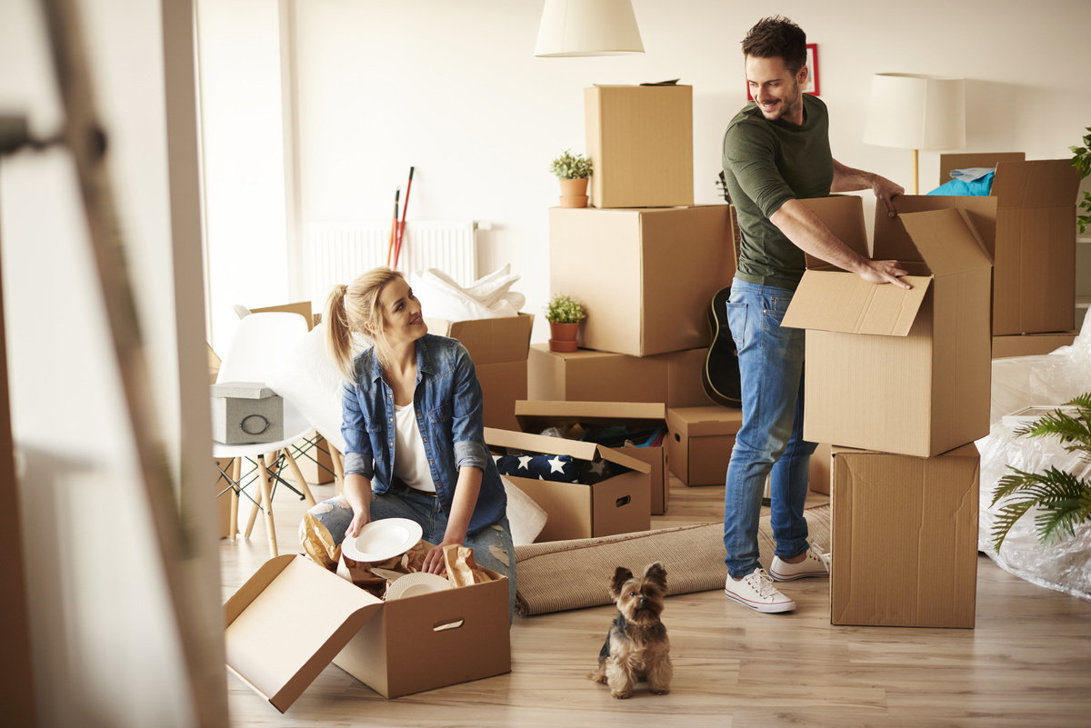 Umzug & Formalitäten in Bremerhaven – Checklisten, Tipps und Services